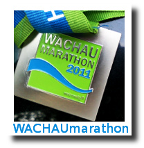 Wachaumarathon: Ein Lauf zwischen Weinbau und Schifffahrt
